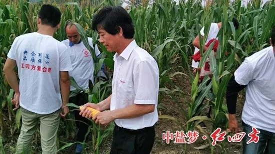 紅四方明光經(jīng)銷商劉廷府在澗溪鎮(zhèn)召開紅四方緩釋肥觀摩會，50名農(nóng)戶應(yīng)邀參加1.