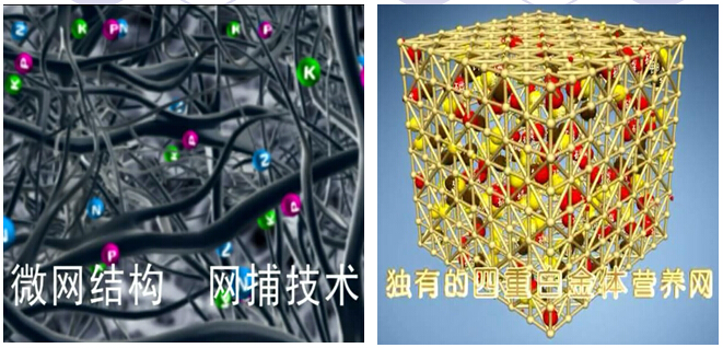 網(wǎng)捕技術有效保留養(yǎng)分不流失