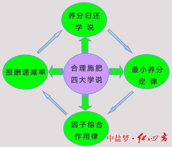 作物種植合理施肥四大學(xué)說(shuō)