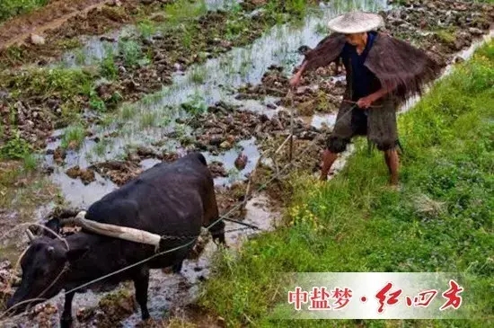 一些長期研究該問題的農(nóng)學(xué)家認為，過去數(shù)千年的現(xiàn)實告訴我們，這一思路可能是錯誤的，那些純天然耕作的土地并沒有表現(xiàn)出“肥力十足”。相反，這種做法加速了土壤肥力的減退。